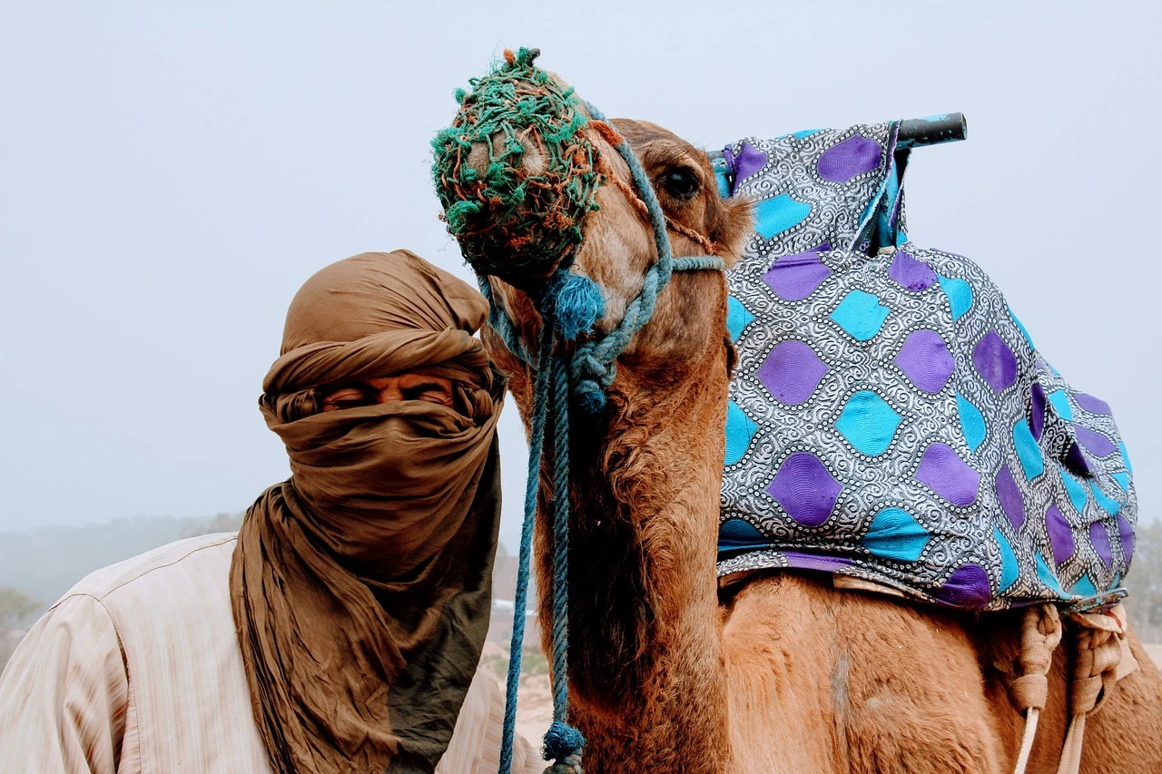 https://quattrofasttrack.com/viajes/assets/upload/d1060.webp