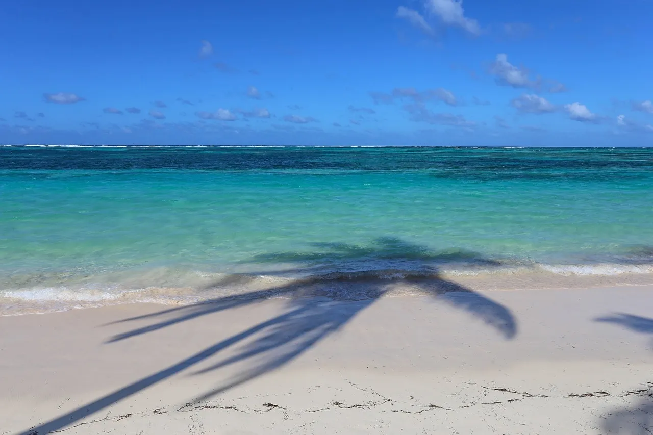 https://quattrofasttrack.com/viajes/assets/upload/d5789.webp